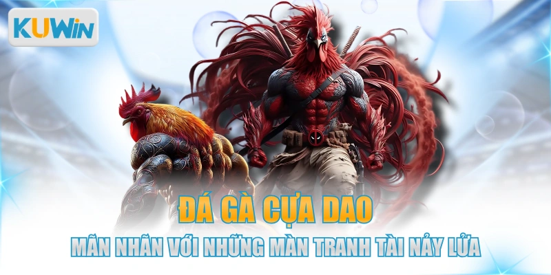 Đá Gà Cựa Dao - Mãn Nhãn Với Những Màn Tranh Tài Nảy Lửa