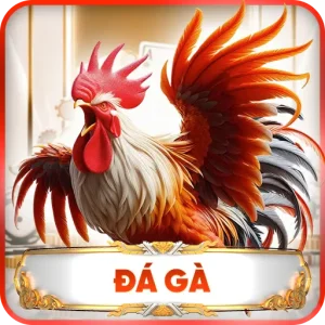 Đá Gà Kuwin – Những Trận Đấu Đỉnh Cao Dành Cho Người Đam Mê Chọi Kê