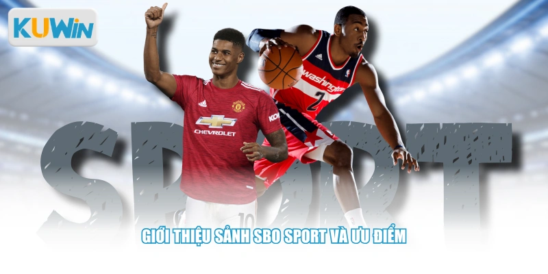 Giới thiệu sảnh SBO Sport và ưu điểm