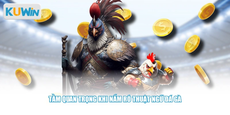 Tầm quan trọng khi nắm rõ thuật ngữ đá gà